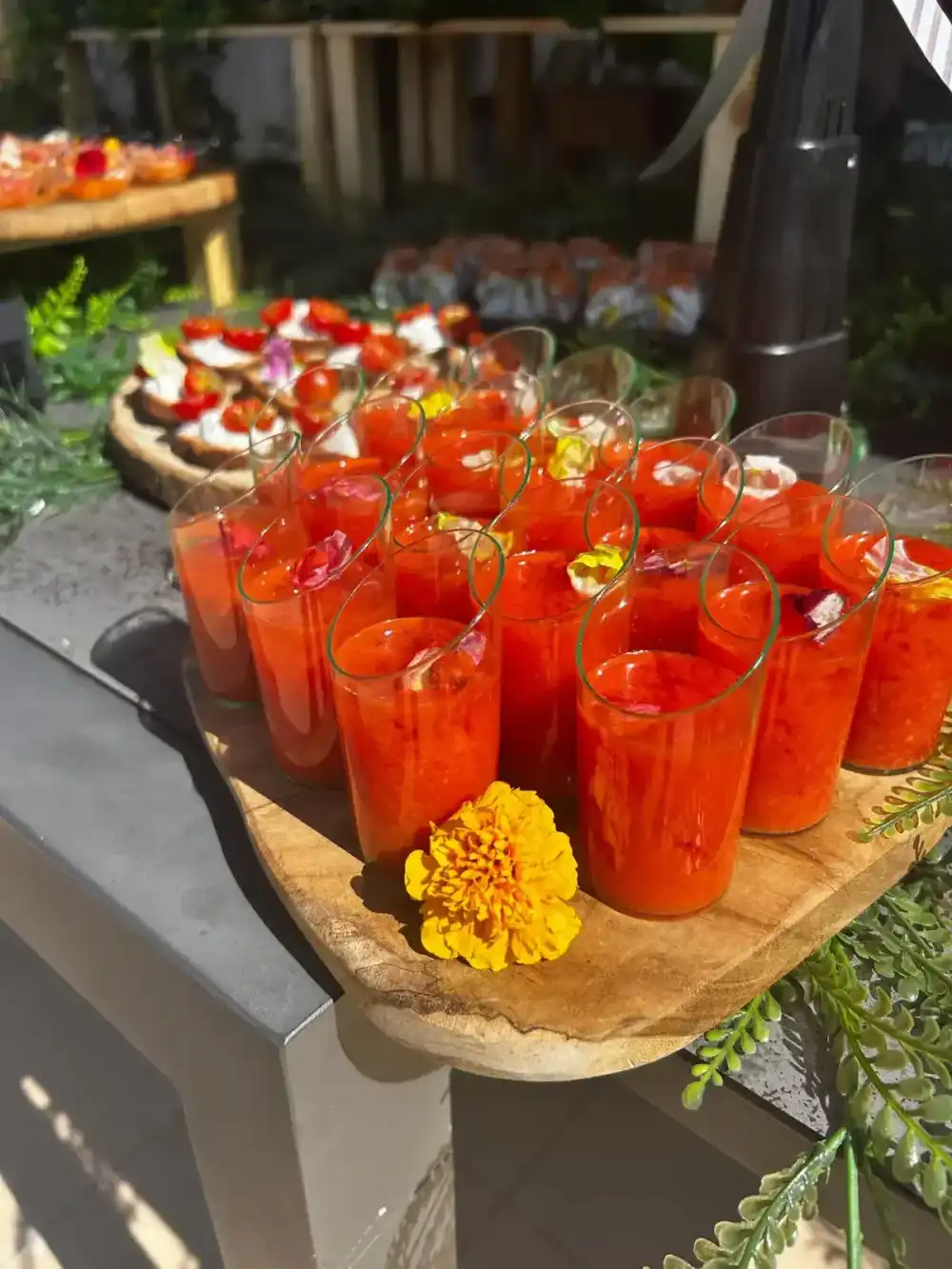 Catering tapas aperitivos gourmet Sabadell Catering tapas aperitivos gourmet Sabadell