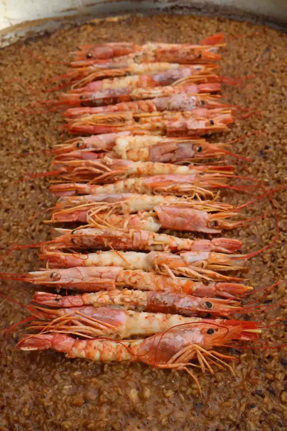 Catering catering de paellas Mollet del Vallès